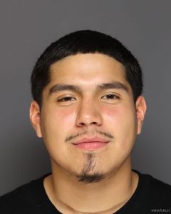 Luis Lujan Arrest