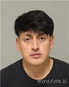 Marcelo Santander Flores Arrest Mugshot