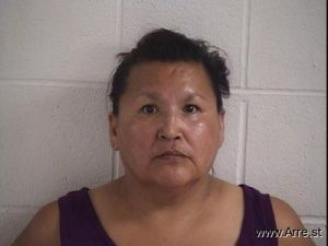 Marie Bush-(roman) Arrest Mugshot