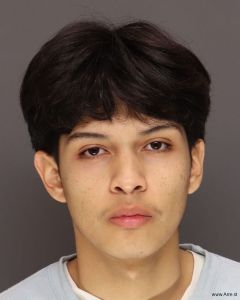 Mario Navagasga Arrest Mugshot