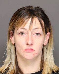 Nicole Shearer Arrest Mugshot