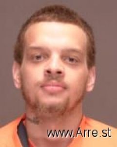 Ryan Halvorson Arrest Mugshot