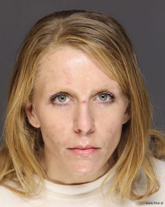Sarah Arnesen Arrest Mugshot