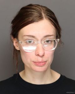Sophia Skoog Arrest Mugshot