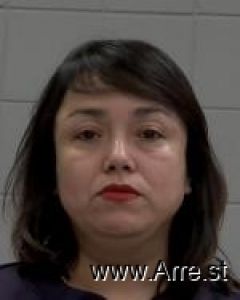 Susana Schlueter Arrest Mugshot