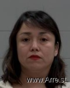 Susana Schlueter Arrest Mugshot