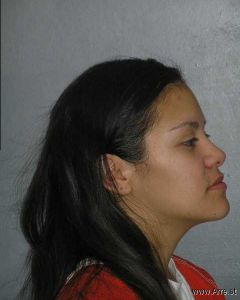 Terese Madigan Arrest Mugshot