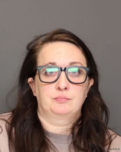 Terese Mcnamara Arrest Mugshot