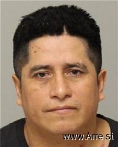 Walter Guerra Arrest Mugshot