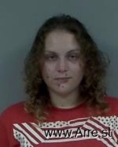 Willow Adkins-bollig Arrest Mugshot