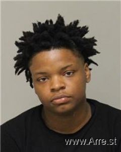 Zion Hampton Arrest Mugshot