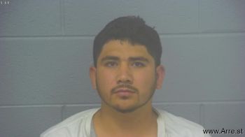 Adan Nmn Ojeda-bustos Mugshot