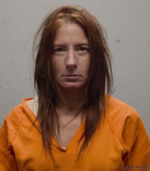 Allison E Halsrud Mugshot