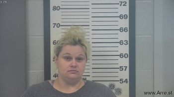 Amanda Lynn Cook Mugshot