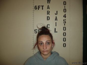 Amanda Ann Schlieper Mugshot