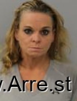 Amber Nicole Akins Mugshot