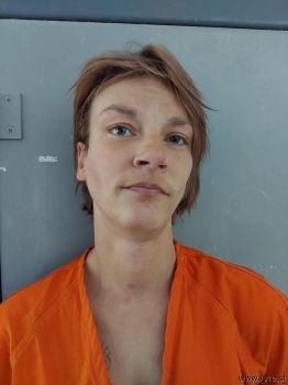 Amber Nichole Mcdonald Mugshot