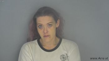 Amber Dawn Sanders Mugshot