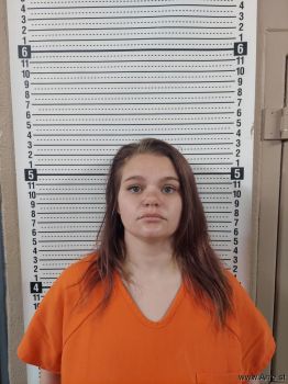 Amber Nicole Spence Mugshot