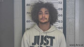 Andrew Ryan Ball Mugshot