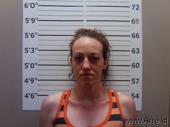 Ann M Burks Mugshot