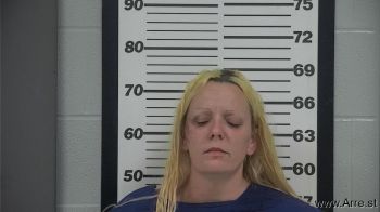 Ashley Renee Bryant Mugshot