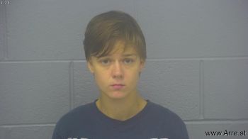 Ashley Marie Fitzgerald Mugshot