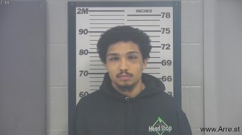 Ashton Lee Nelson Mugshot