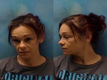 Amanda Michelle Barnes Mugshot