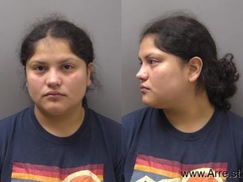 Amanda Paola Enriquez Mugshot