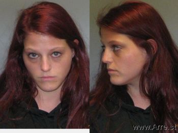 Amanda Dawn Jenkins Mugshot