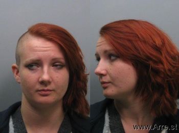 Amanda Lucille Jones-schildknecht Mugshot