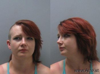 Amanda L Jones-schildnecht Mugshot