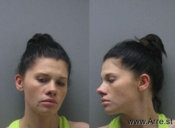 Amanda Elizabeth Leach Mugshot