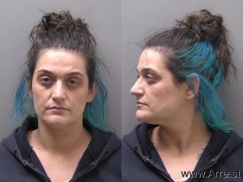 Amber Ann Hartman Mugshot