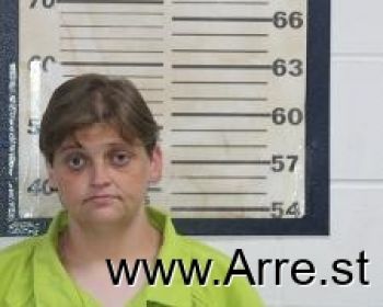 Amy Lee Cobb Mugshot