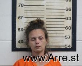 Andrea Michelle Miller Mugshot