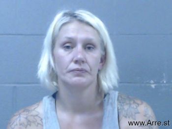 Anne E Hawkins Mugshot