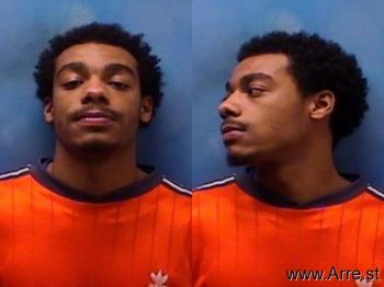 Anthony L Junior Hamilton Mugshot