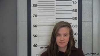 Bobbie S Chambers Mugshot