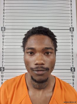 Brandon Lamar Hamilton Mugshot