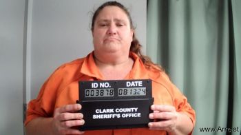 Brenda Lee Burchett Mugshot