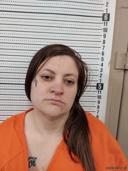 Christina Lee Hillebrand Mugshot