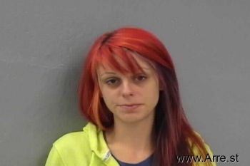 Christine N Watkins Mugshot