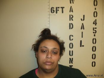 Danielle M Jones Mugshot