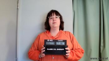 Danielle Renee Mcdonald Mugshot