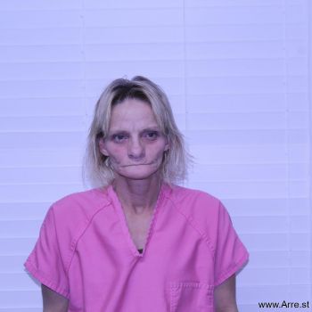 Donna Sue Lewis Mugshot