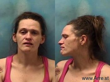 Danielle Louise Stout Mugshot