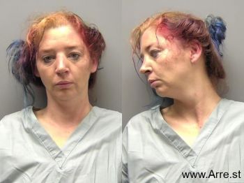 Deborah Lynne Carlson-hockaday Mugshot