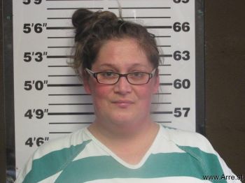 Diana Renae Whitener Mugshot